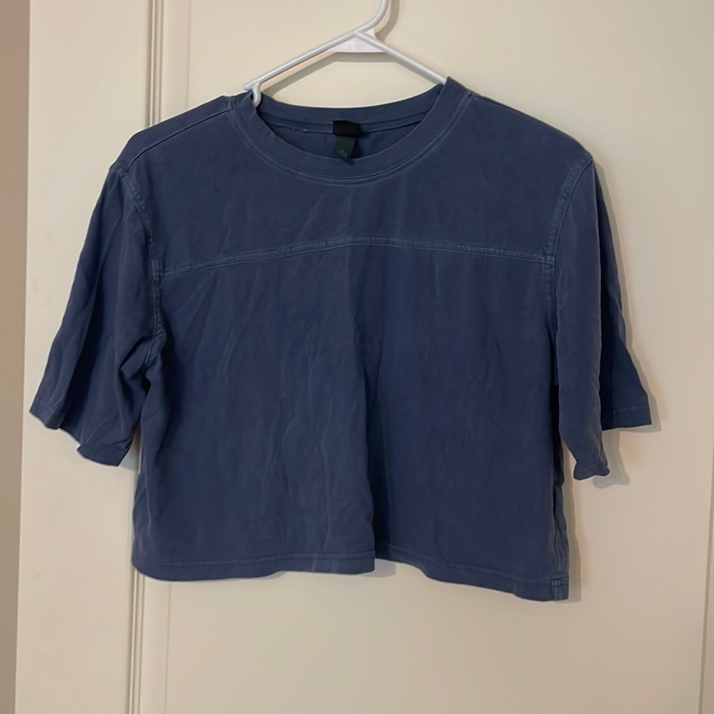 Wild Fable Crop Top
